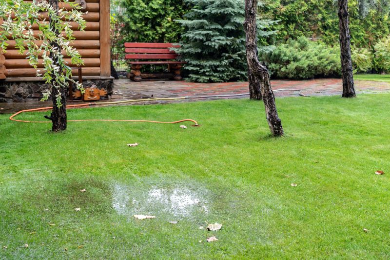 Lawn Drainage Repair