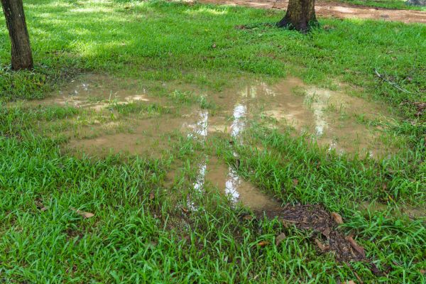 Cost of Storm Water Drainage Service in Greenwood