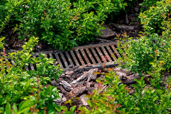 Cost of Underground Drainage Service in Greenwood