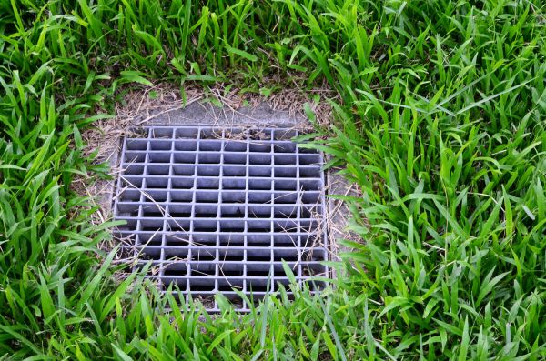 Cost of Yard Water Drainage in Greenwood