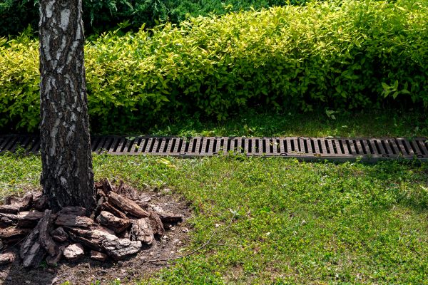 Cost of Wet Yard Drainage in Greenwood