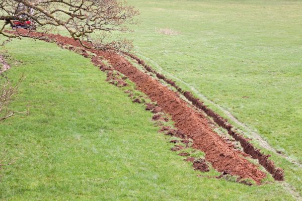 Cost of Swale Installation in Greenwood