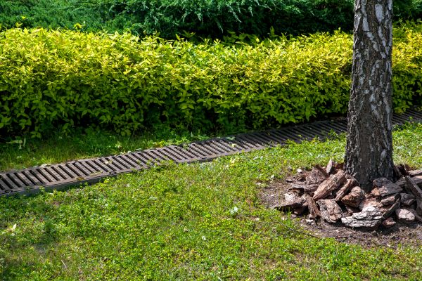 Cost of Residential Landscape Drainage in Greenwood