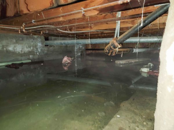 Cost of Crawlspace Drainage in Greenwood