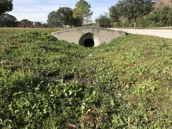 Cost of Swale Drainage Service in Greenwood