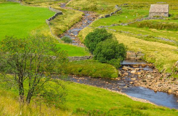 Cost of Swale Repair in Greenwood